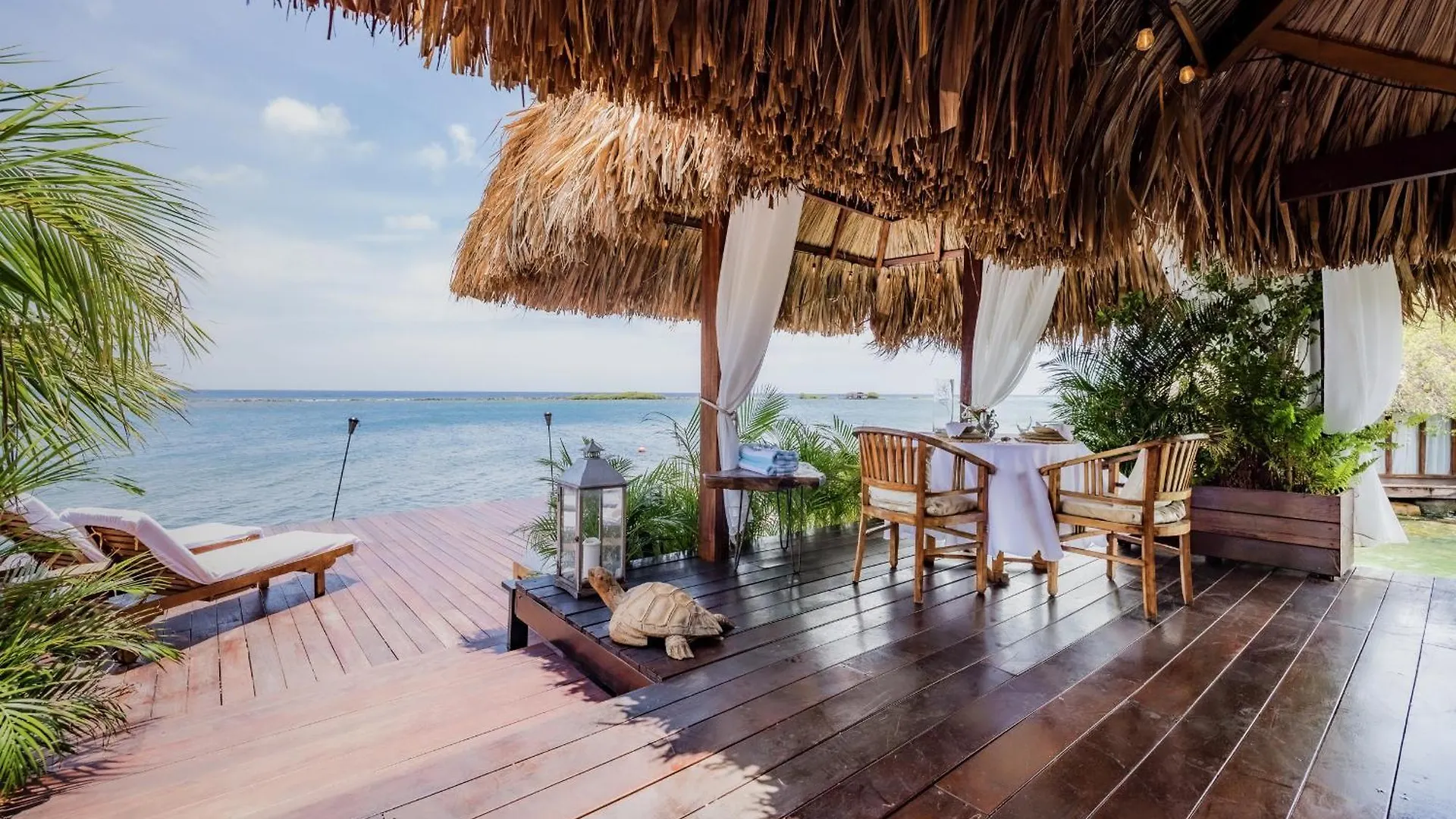 Aruba Ocean Villas Savaneta
